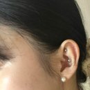 디에스타의원 이미지