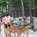 동해사슴목장 이미지