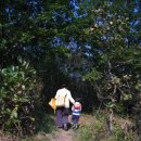 오솔길 농장 이미지