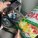 다사랑미용실 | 임신 29-32주 | 망원동 데이트, 흑백요리사2, 두쫀쿠, 병오년 새해, 역아 탈출, 말차시루, 쿠에른 바자...