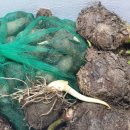 광주농장 이미지