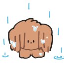 충무아트센터 중극장 블랙 이미지