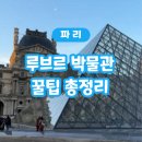 모나리자라이브 | 오픈런 후기, 루브르 박물관 모나리자 위치, 루브르...박물관 오디오가이드 추천, 투어라이브 솔직 후기