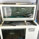 바다즉석회집 | 경산 중방동 아구찜 맛집 &#39;바다즉석회집&#39;