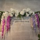 숲을 그리다 이미지