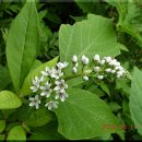 SK협진주유소 이미지