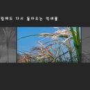 동영상제작하기(파워디렉터) 이미지