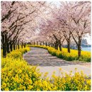 상맹방1리마을회관 이미지