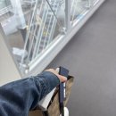 더파머스 | [LA] ICN-LAX 에어프레미아 후기/ LAX공항 세컨더리룸 후기/ 파머스마켓/ 더그로브