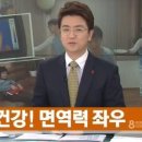 사랑가득태권도장 이미지