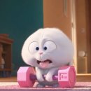 당진Y복싱클럽 송악점 이미지