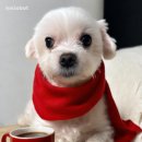 환타지아 게임랜드 이미지