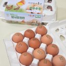 자연을담은 밥상 | 푸드코리아 난각번호 1번계란 자연을담은 방사유정란 솔직 후기