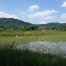 대야리(대실) 이미지