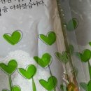 보리수한의원 이미지