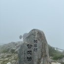 씨유 무주리조트 설천점 | 무주 덕유산 향적봉 곤돌라 여름 후기 가격 소요시간