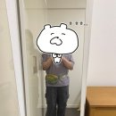 파타고니아 블랙홀 미니 힙팩 1L 구입후기
