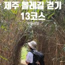 1일차 13코스 | 용수→저지, 202번 버스 일주서로, 줄라이앤어거스트 카페, 책방 소리소문 '2026 제주...