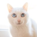 신천동물병원 이미지