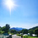 대회산 캠핑장 | [경기도 수영장 키즈캠핑장]포천 대회산 캠핑장 찐 솔직 후기🏕