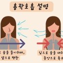 필라테스(A) 이미지