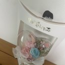 3417 이선우 이미지