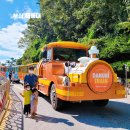 부산 영도 태종대 이미지