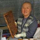 진성양봉 이미지