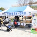 공무원연금공단천안상록리조트 이미지
