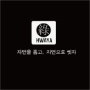 쏘그린