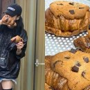 퍼피크루 이미지
