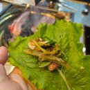 다인정 | 대전 천동 고기집 고급 숯을 쓰는 다인정육식당 내돈내산