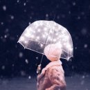 우산/양광모 이미지