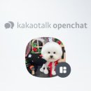 허그몽몽 이미지