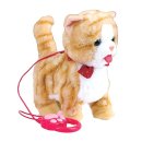 살랑 그루밍 이미지