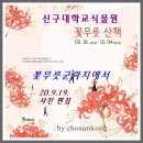 신구대학교식물원 꽃무릇 이미지