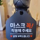 베이프독2Plus