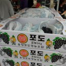 곰내미영농조합법인 이미지