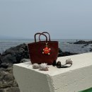 드래곤(dragon) | 드래곤디퓨전 그레이스백 스몰 탄 컬러 후기 | Dragon Diffusion_Grace Basket_Small_Tan color