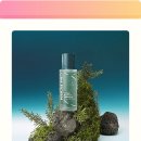 김피부 | 김 PDRN 앰플, 바다의 탄력이 피부 속으로? 솔직 후기 사용법 대공개!