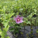 익성목장 이미지