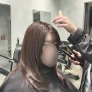 보라매 | 보라매 미용실 하온헤어에서 1:1 맞춤 헤어 컨설팅과 클리닉 받은 후기