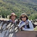 57.(양산) 신불산 (1,159m) 이미지