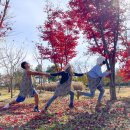 한탄강 유원지6 이미지