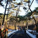 마곡사1 이미지