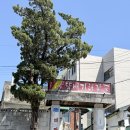한뚝배기뼈해장국 | [천안/성환] 가정집 같은 숨은 해장국 맛집 '성환뚝배기해장국' | 뼈해장국 내돈내산 솔직 후기