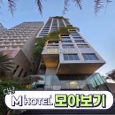 M-GYM | #8. 다낭 M호텔의 모든것!!숙박 후기(Feat.디럭스 시티뷰 트윈룸,디럭스 오션프론트 더블룸,부대시설...