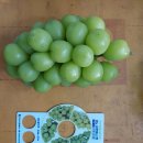 유창농장 이미지