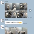 멍류장 이미지