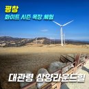멍애전망대밑(카페) | 대관령 삼양라운드힐 화이트 시즌 체험 후기 (동해전망대,연애소설나무,양/타조먹이주기,목장마트,힐카페)